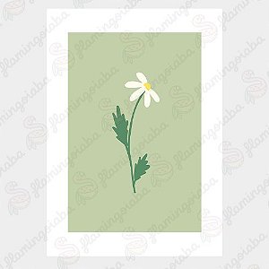 Pôster Margarida Daisy