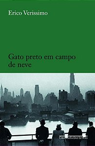 GATO PRETO EM CAMPO DE NEVE