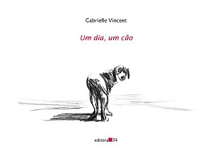 UM DIA, UM CÃO