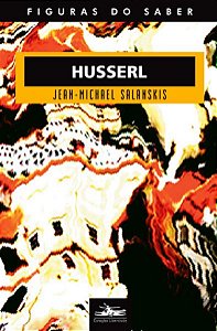 HUSSERL - VOL. 16