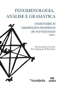 FENOMENOLOGIA, ANÁLISE E GRAMÁTICA