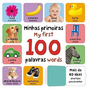 LEVANTE A ABA - MINHAS PRIMEIRAS 100 PALAVRAS EM INGLÊS - VOL. 2