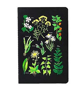 CADERNETA CICERO A5 S/PAUTA JARDINS 64PAG