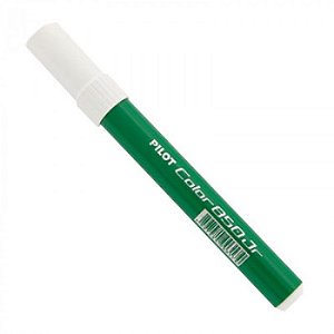 CANETA HIDROCOR PILOT 850 VERDE