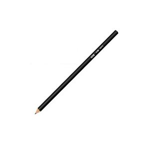 LAPIS CIS PRETO HB Nº2