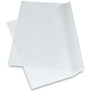 PAPEL UNID VEGETAL A1 CANSON - 90G