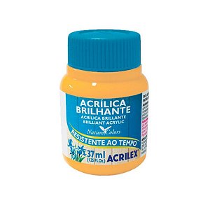 TINTA ACRILICA BRILHANTE 37ML - AMARELO SALMAO 538