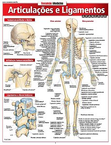ARTICULAÇÕES E LIGAMENTOS AVANÇADO