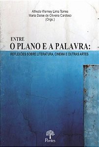 ENTRE O PLANO E A PALAVRA - NREFLEXOES SOBRE LITER