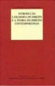 INTRODUCAO A FILOSOFIA DO DIREITO E A TEORIA DO DI