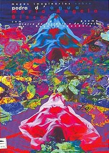 MAPAS IMAGINARIOS SOBRE PEDRA D`AGUA