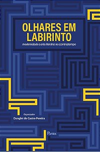 OLHARES EM LABIRINTO - MODERNIDADE E ARTE LITERARI