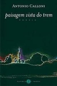 PAISAGEM VISTA DO TREM