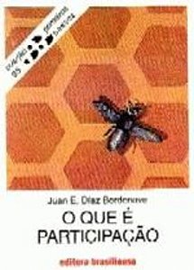 QUE E PARTICIPACAO?, O