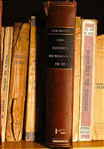 UMA HISTÓRIA DO ROMANCE DE 30 - VOL. 1
