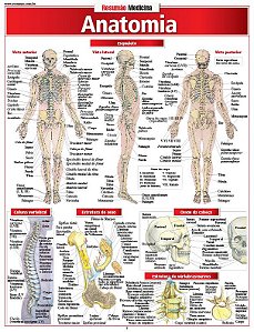 ANATOMIA