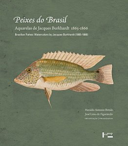 PEIXES DO BRASIL/BRAZILIAN FISHES - VOL. 1