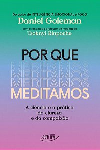 POR QUE MEDITAMOS