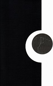 MODERNISMO MÚLTIPLO