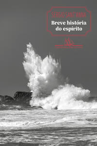 BREVE HISTÓRIA DO ESPÍRITO (NOVA EDIÇÃO)