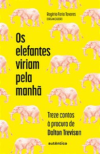 OS ELEFANTES VIRIAM PELA MANHÃ: