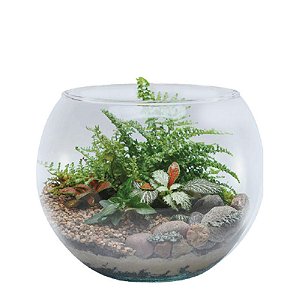 AQUARIO - Ø24 X 18 CM 4,5 L - CAIXA C/ 12 PEÇAS