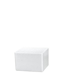 CAIXA TERMICA 001,5 LITROS (1KG) - CAIXA C/ 50 PEÇAS