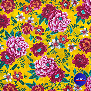 TECIDO CHITA ESTAMPADA | 100% Algodão - 1,40m | 2838 V.1