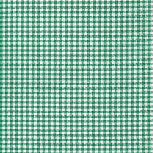 Tecido Xadrez de Poliéster | 1,40m - 2mm x 2mm | Verde