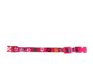 Coleira elastica para gato