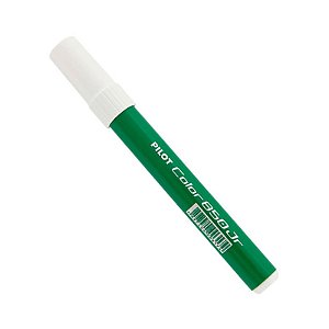 Pincel Permanente Pilot Color 850 Jr Verde