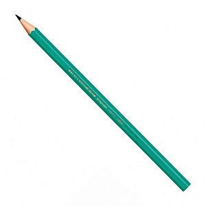 Lápis Preto N.2 HB BIC Evolution Triangular 1 UN