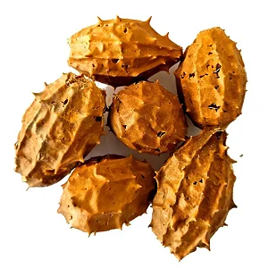 Buchinha do Norte - Und