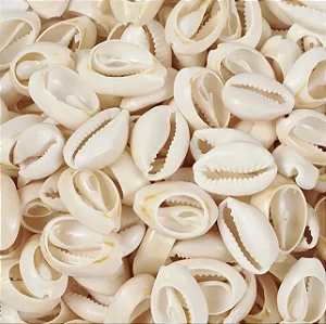 Búzios Comum- Mini Und