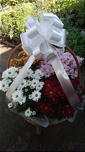 Cesta de crisântemo para velório