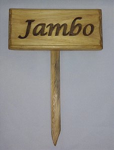 Placa personalizada 30cm X 90cm