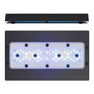 LUMINARIA LED ECOTECH RADION XR30 BLUE