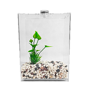 BETEIRA ACRILICO COM LED SOMA NB-3000K KIT COM SUBSTRATO E PLANTA (3L)