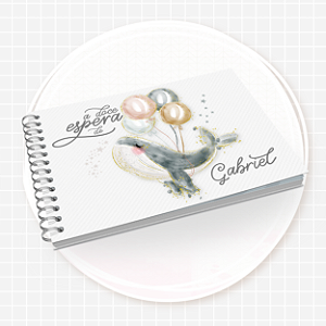 Álbum da Gestação - Coleção Maternidade 1.0