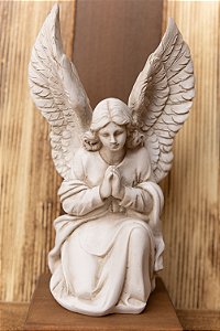 Imagem Anjo da Guarda adorador
