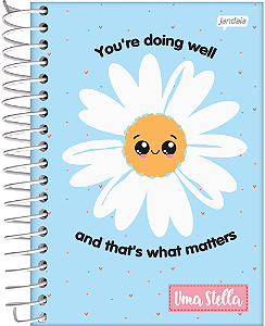CADERNO ESP UNIVERSITÁRIO 80FLS STELLA  JANDAIA