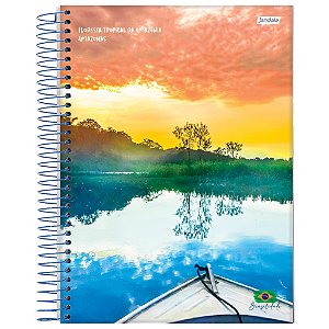 CADERNO UNIVERSITÁRIO 12M 240FLS BRASILIDADE JANDAIA