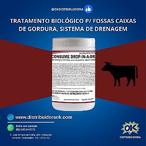 TRATAMENTO PARA FOSSAS - CONSUME DROP IN A DRAIN 350g