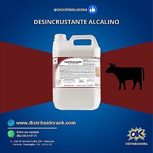DESINCRUSTANTE ALCALINO - CAUSTIC CLEANER 5 LITROS