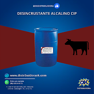 CAUSTIC CLEANER 200 LITROS