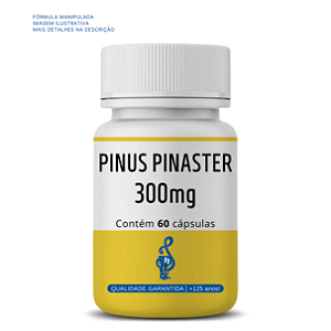 Pinus pinaster 300mg 60 doses