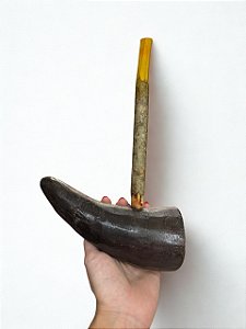 Cachimbo de Chifre