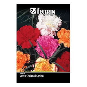 Semente Feltrin Cravo Chabaud 100mg