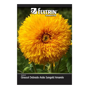 Sementes De Girassol Dobrado Anão Sungold Feltrin 600mg