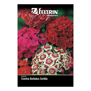 Semente Feltrin Cravina Barbatus Sortida 200mg